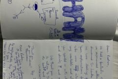 WhatsApp-Image-2025-09-03-at-7.13.54-PM-1