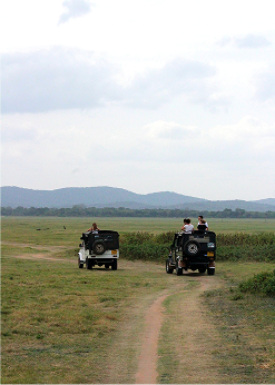 gemmmm-6GJGwKwTsLE-unsplash (1)